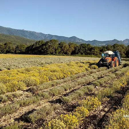 Hotell A Casa Di Maria Cicilia