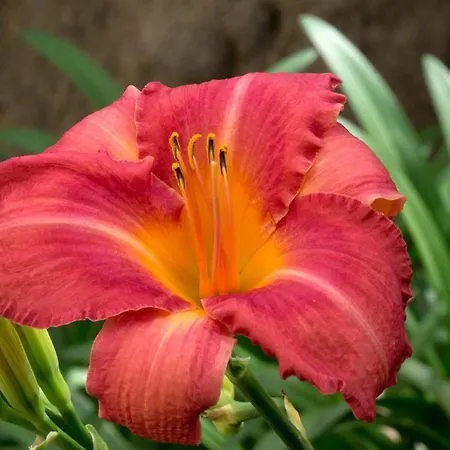 Hotell A Casa Di Maria Cicilia Ghisonaccia