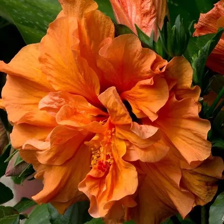 Hotell A Casa Di Maria Cicilia