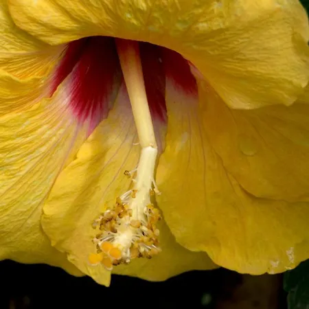 Hotell A Casa Di Maria Cicilia Ghisonaccia