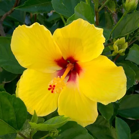 A Casa Di Maria Cicilia Hotell