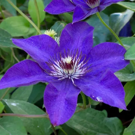 A Casa Di Maria Cicilia 3*