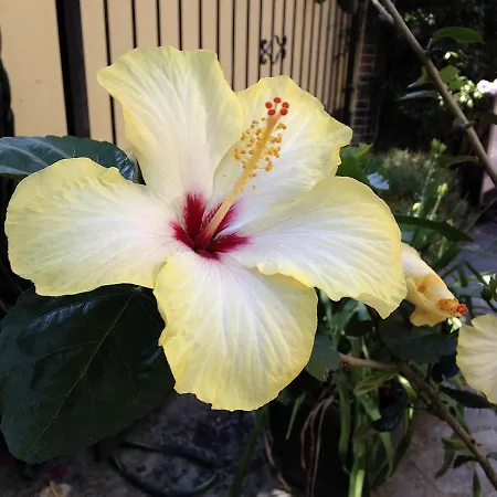 A Casa Di Maria Cicilia 3*