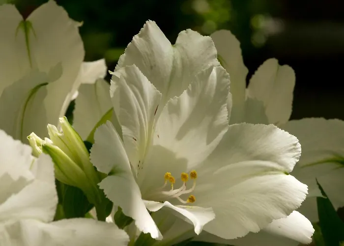 A Casa Di Maria Cicilia ホテル 3*