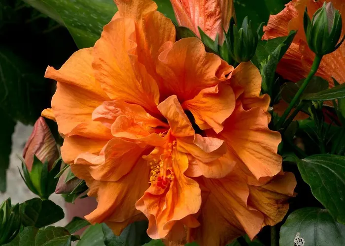 ホテル A Casa Di Maria Cicilia