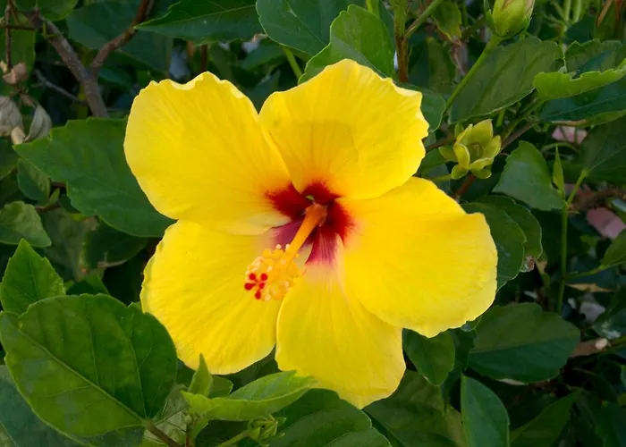 A Casa Di Maria Cicilia ホテル