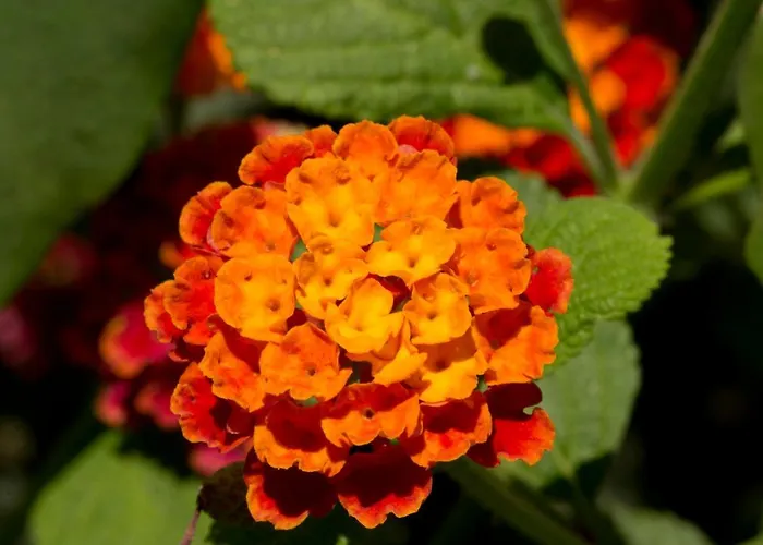 ホテル A Casa Di Maria Cicilia 3*