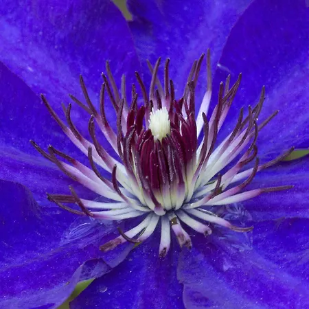 A Casa Di Maria Cicilia Ghisonaccia