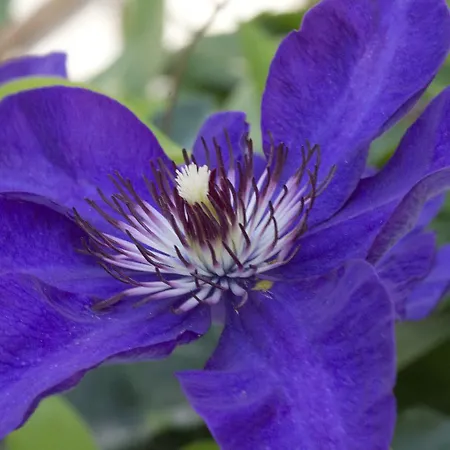 Hotel A Casa Di Maria Cicilia 3*