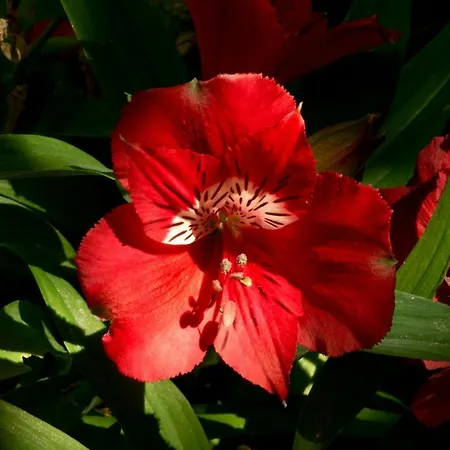 Hotel A Casa Di Maria Cicilia 3*