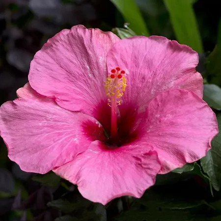 Hotel A Casa Di Maria Cicilia 3*