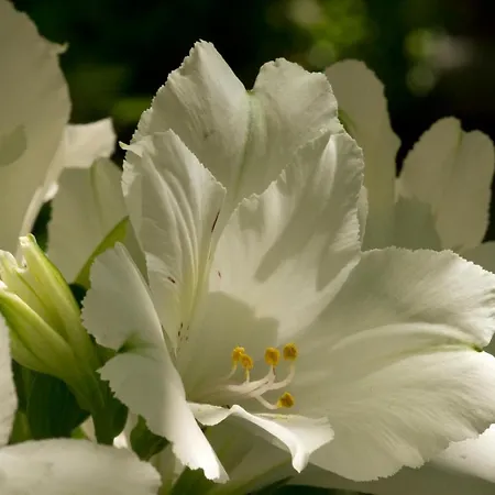 A Casa Di Maria Cicilia Hotel 3*