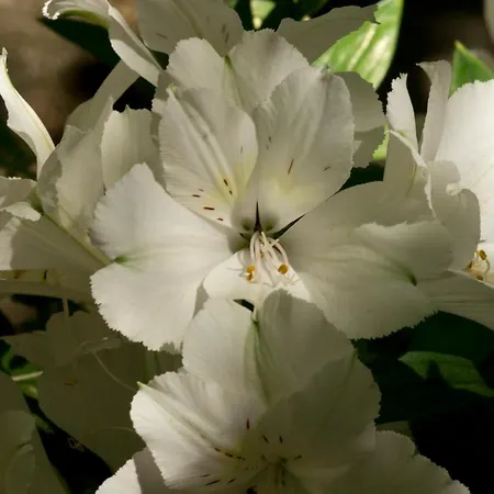 Hotel A Casa Di Maria Cicilia