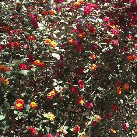 A Casa Di Maria Cicilia Hotel Ghisonaccia