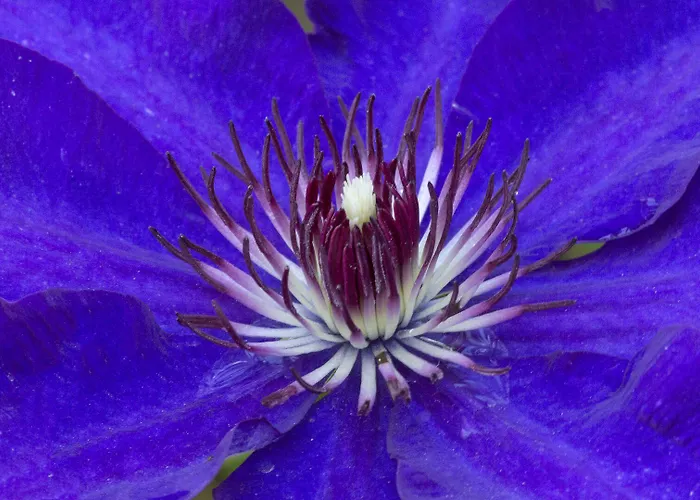 A Casa Di Maria Cicilia Ghisonaccia