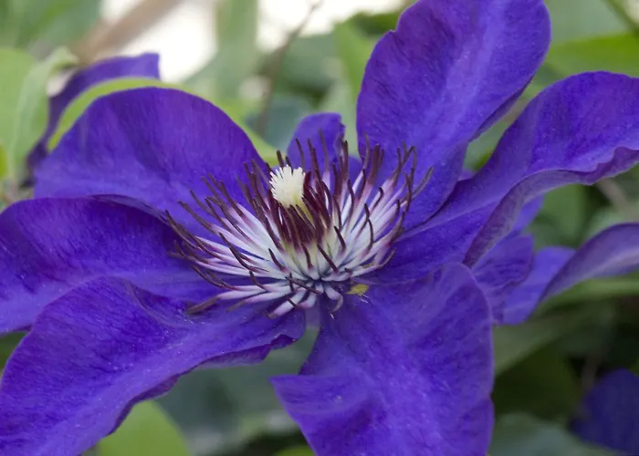 Otel A Casa Di Maria Cicilia 3*