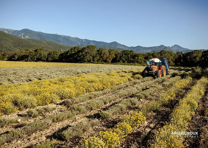 Otel A Casa Di Maria Cicilia