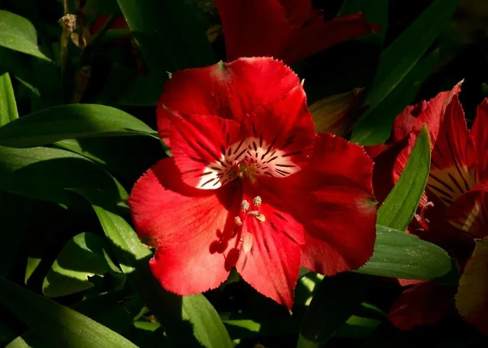 ホテル A Casa Di Maria Cicilia 3*