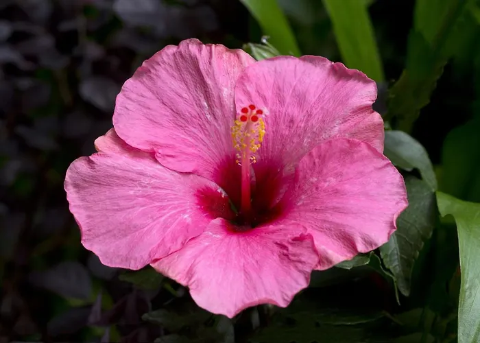 Otel A Casa Di Maria Cicilia 3*