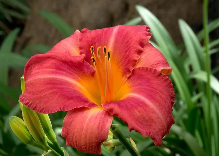 Otel A Casa Di Maria Cicilia Ghisonaccia