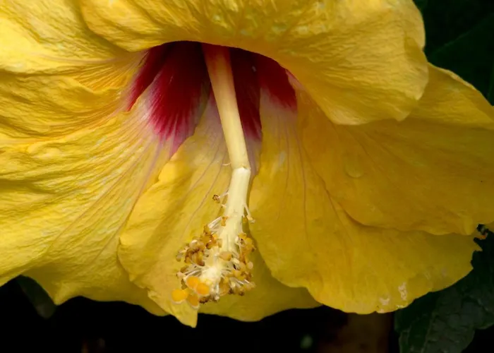 ホテル A Casa Di Maria Cicilia ギソナクシア