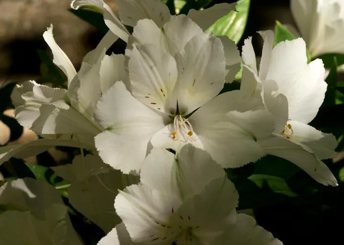 ホテル A Casa Di Maria Cicilia