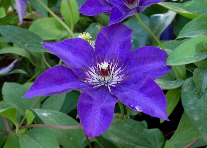 A Casa Di Maria Cicilia 3*