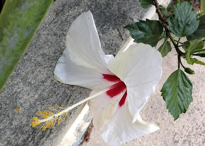 A Casa Di Maria Cicilia 3* ギソナクシア