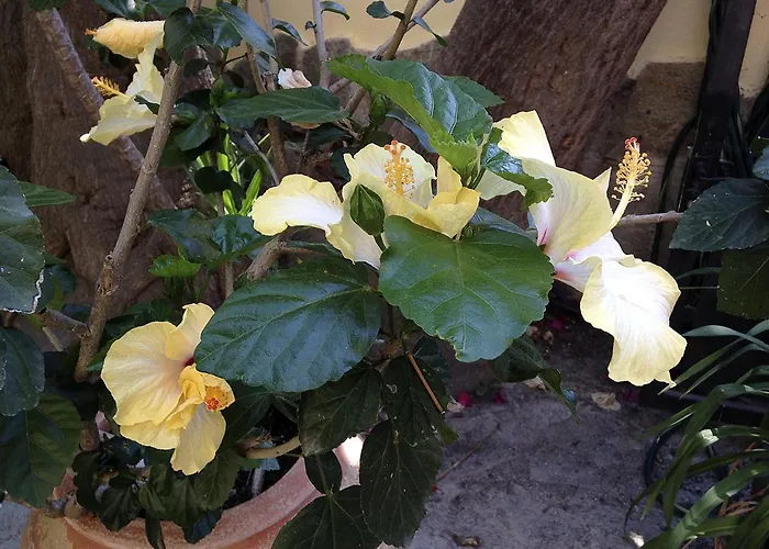 Otel A Casa Di Maria Cicilia