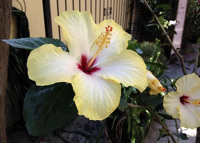 A Casa Di Maria Cicilia 3*