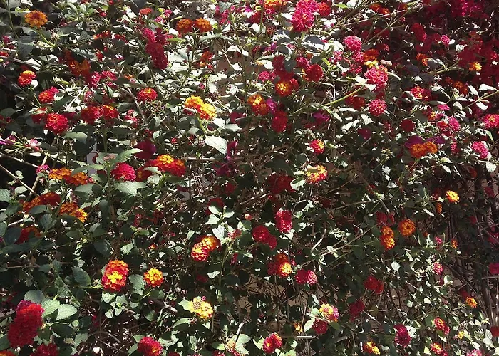 A Casa Di Maria Cicilia Otel Ghisonaccia